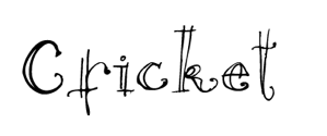 Type sample of Cricket font